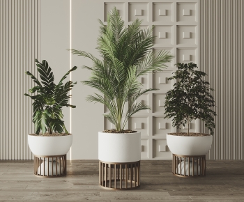 Modern Potted Green Plant-ID:141194115