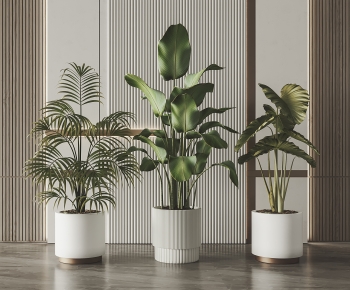 Modern Potted Green Plant-ID:386862047