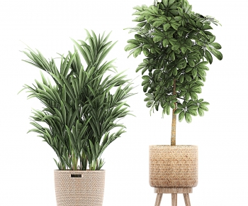 Modern Potted Green Plant-ID:689001151