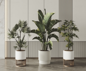 Modern Potted Green Plant-ID:963977105