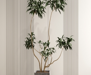 Modern Potted Green Plant-ID:870081904