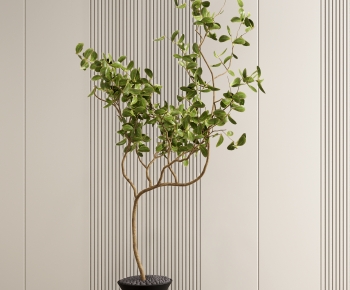 Modern Wabi-sabi Style Potted Green Plant-ID:868229997