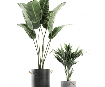 Modern Potted Green Plant-ID:303225994