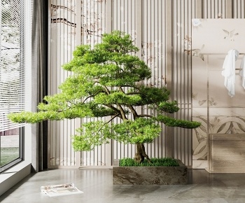 新中式松树 植物-ID:147484068