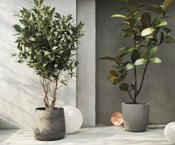 Modern Potted Green Plant-ID:913182971