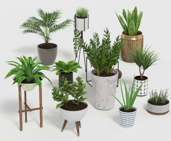 Modern Potted Green Plant-ID:554508928