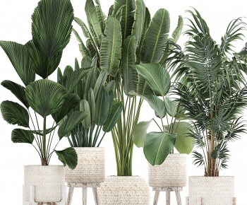 Modern Potted Green Plant-ID:764062882