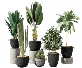 Modern Potted Green Plant-ID:671860935