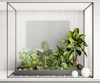 现代室内景观植物小品 植物堆-ID:110198972