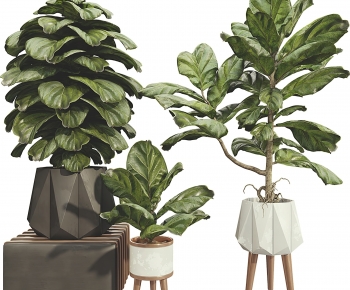 Modern Potted Green Plant-ID:695580019