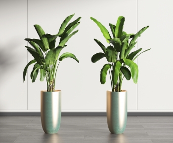 Modern Potted Green Plant-ID:629863022