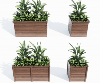 Modern Potted Green Plant-ID:528774024