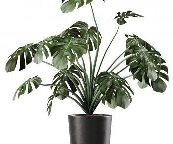 Modern Potted Green Plant-ID:630470045