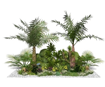 现代庭院景观植物-ID:1484014