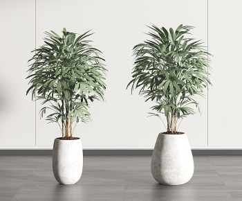Modern Potted Green Plant-ID:101790905