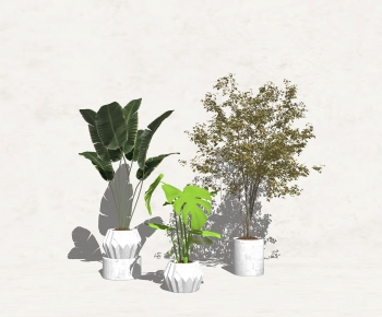 Modern Potted Green Plant-ID:690525056