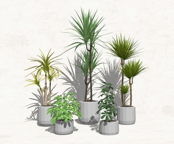 Modern Potted Green Plant-ID:610332019