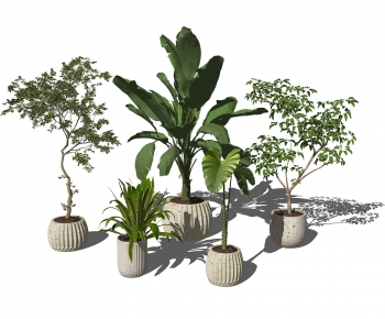 Modern Potted Green Plant-ID:501179933