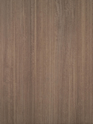 Wood Texture