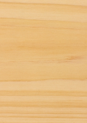 Wood Texture