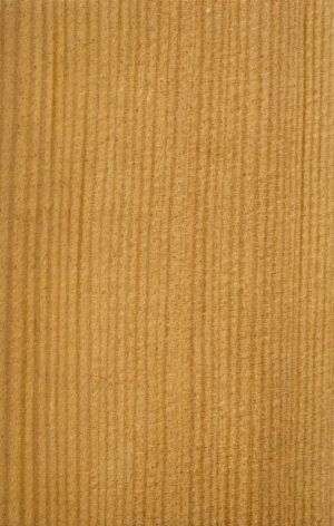 Wood Texture