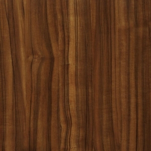 Wood Texture