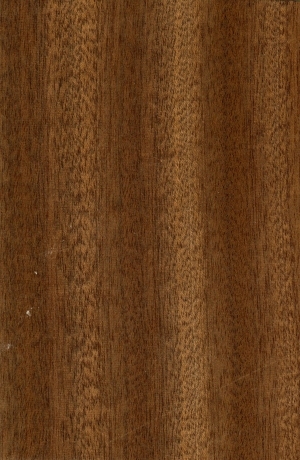 Wood Texture