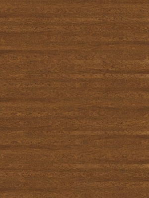 Wood Texture