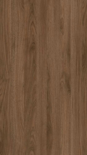 Wood Texture