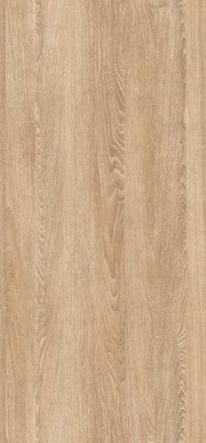 Wood Texture