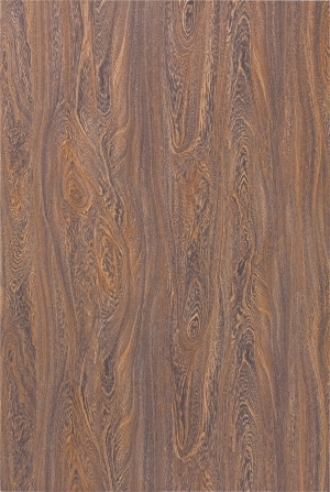 Wood Texture