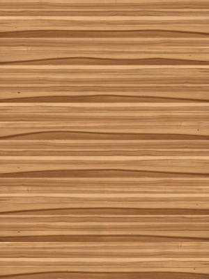 Wood Texture