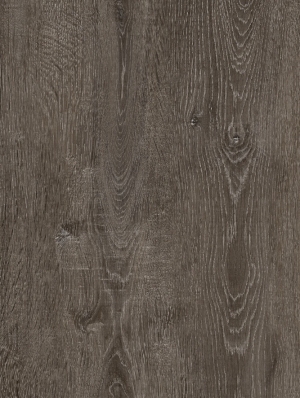 Wood Texture