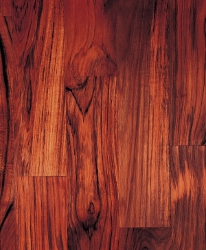 Wood Texture