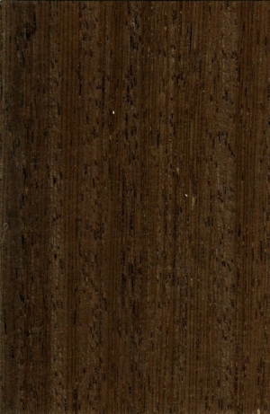 Wood Texture