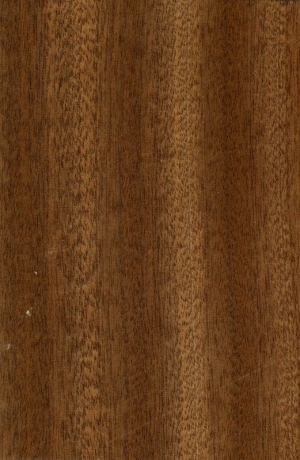 Wood Texture