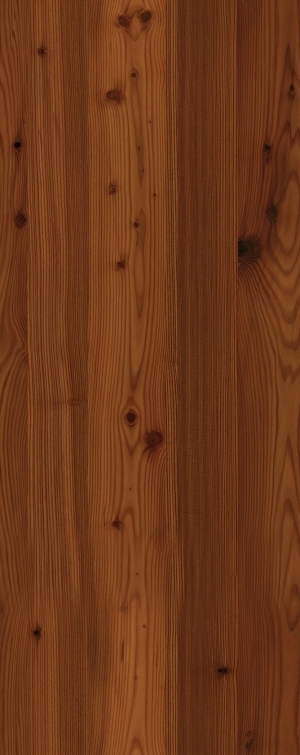 Wood Texture