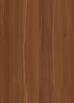 Wood Texture