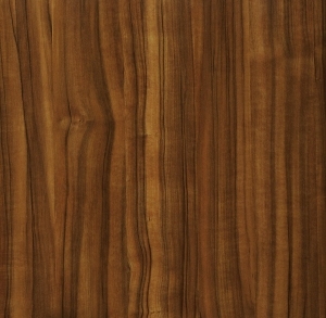 Wood Texture