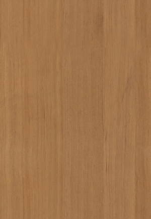 Wood Texture