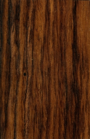 Wood Texture