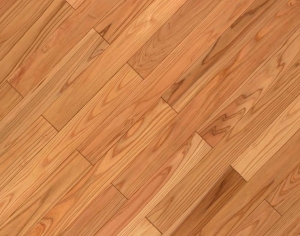 Wood Texture