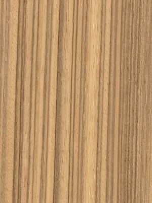 Wood Texture