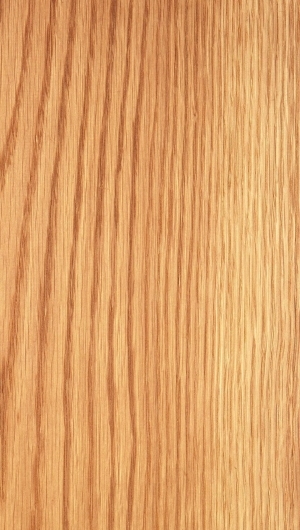 Wood Texture