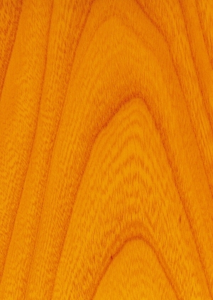 Wood Texture