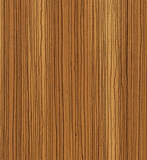 Wood Texture