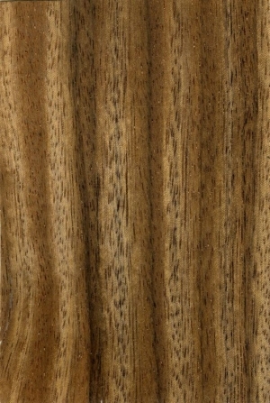 Wood Texture