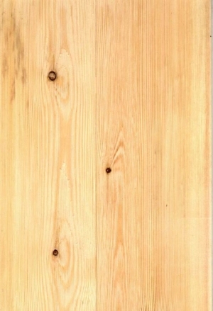 Wood Texture