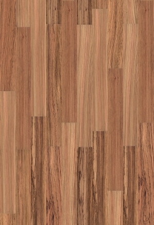 Wood Texture