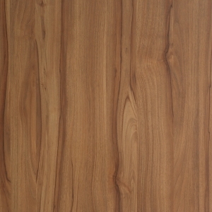 Wood Texture